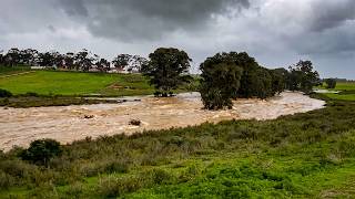 Happening Across South Africa Today | 18 August 2026 — Yesteryear Highlights (18 August 2024)