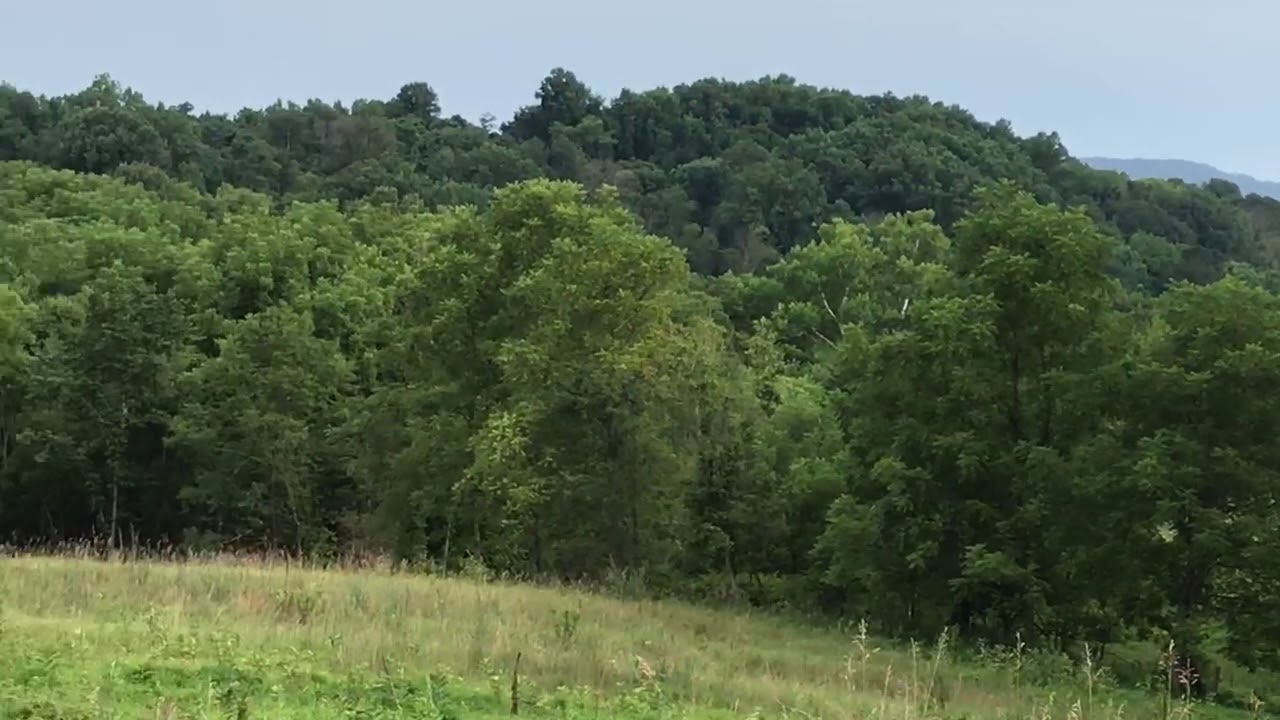 Battlefield Liminal Space - 16th Connecticut Hill - Final Attack - Antietam