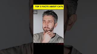Top 3 Amazing Facts About Cats 😱🐱 | You Won’t Believe #3!