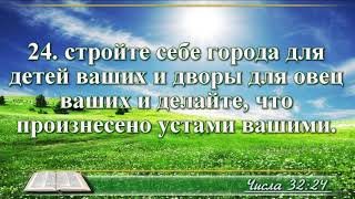 ВидеоБиблия Книга Числа без музыки глава 32 Бондаренко