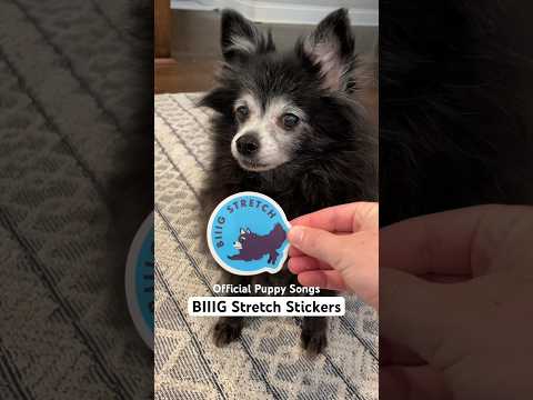 Official Puppy Songs