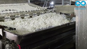 Smooth Operations: The Role of Belt Conveyors in Industry - Techsol Automation