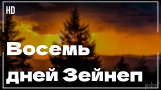 podcast | Восемь дней Зейнеп (2007) - #рекомендую смотреть, онлайн обзор фильма