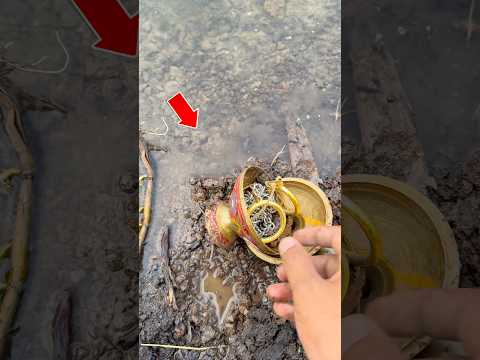 Amazing to find