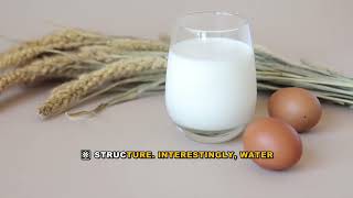 Cell Membrane Permeability Explained: Molecular Size Limits