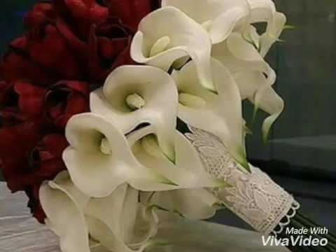 Mabathazesh Tamer Ashor
