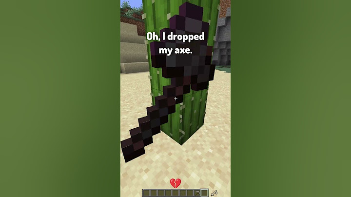 Sad Moments We All Had in Minecraft