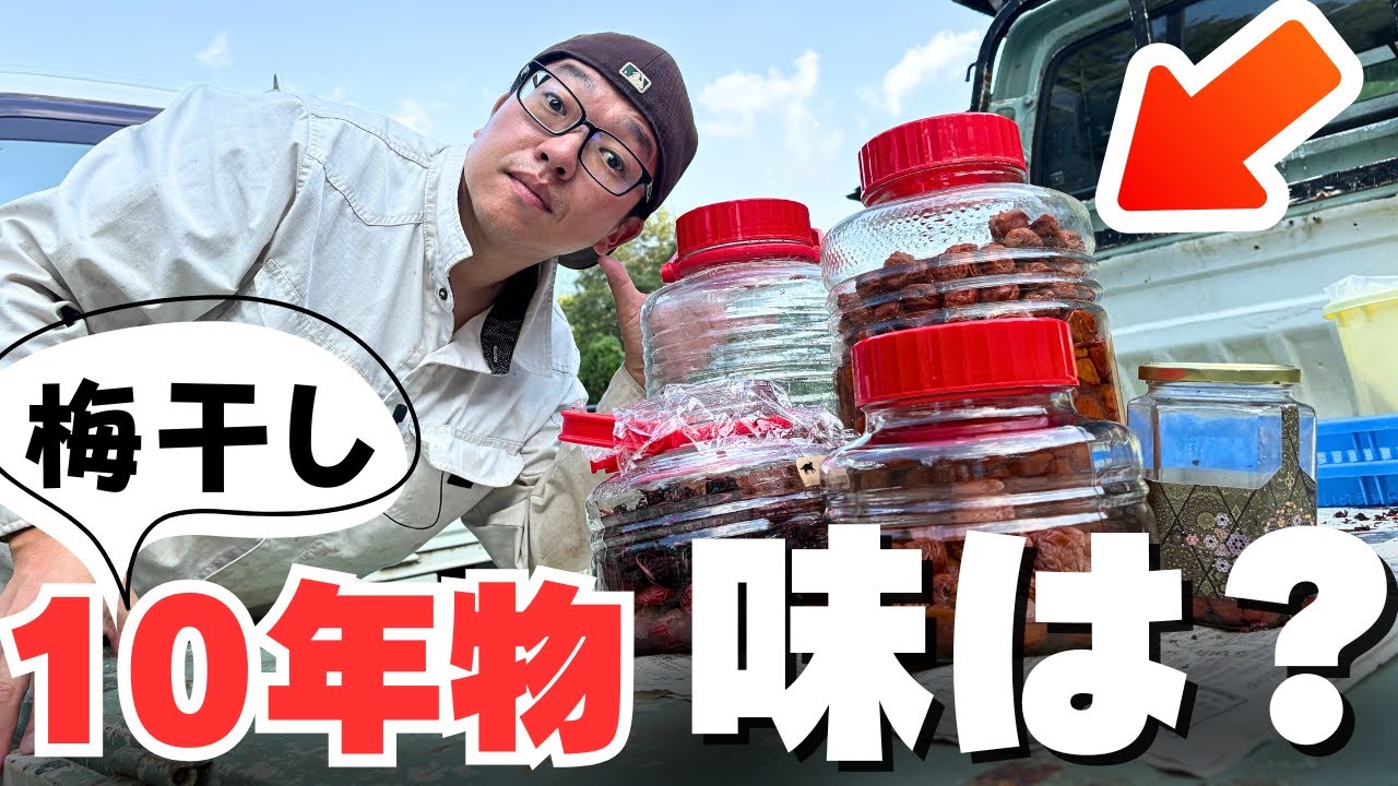 今年仕込んだ梅干しと2年・7年・10年物を一気に食べ比べ！熟成の違いは？
