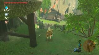 Zelda: Breath of the Wild - Magic Cuccos
David Copperfield got nothing on these Cuccos Zelda: Breath of the Wild - Magic Cuccos