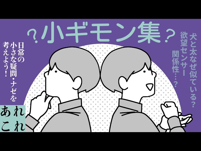 【あれこれ】小ギモン集 #1【一橋綾人/にじさんじ】のサムネイル