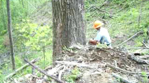 Kilby Logging