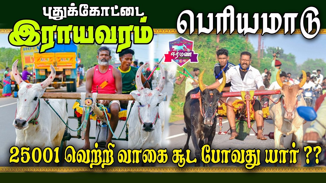🔴LIVE(நேரலை) | இராயவரம் | புதுக்கோட்டை மாவட்டம் | பெரியமாடு | பந்தயம்