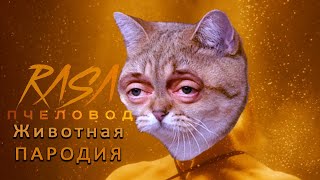 RASA - Пчеловод (ANIMAL REMIX) (ЖИВОТНАЯ ПАРОДИЯ) + Субтитры