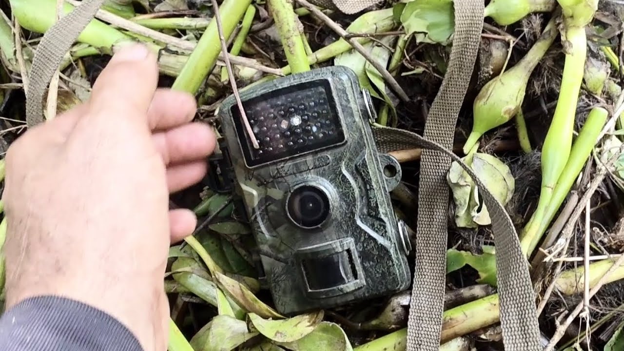 Será que essa câmera de trilha vai funcionar?