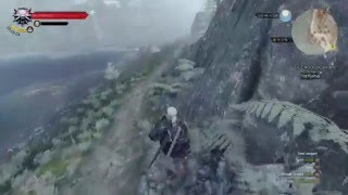 The Witcher 3: Wild Hunt. Find Hjalmar