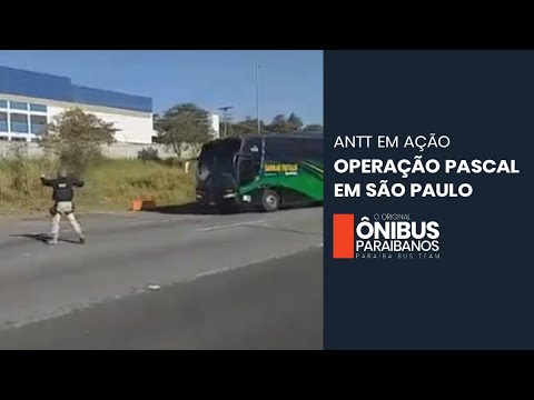 ANTT realiza no interior do estado de São Paulo mais uma etapa da Operação Pascal 1 ANTT realiza no interior do estado de São Paulo mais uma etapa da Operação Pascal