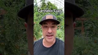 Cannabis Cups Quality Cannabis