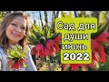 ПУТЕШЕСТВИЕ ПО ИЮНЬСКОМУ САДУ 🌷🌻🌲🍀💐 САД ДЛЯ ДУШИ ИЮНЬ 2022 | СВЕТЛАНА САМОЙЛОВА