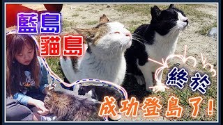 【魚乾】貓咪都好胖好圓的「藍島」！終於如願登貓島！