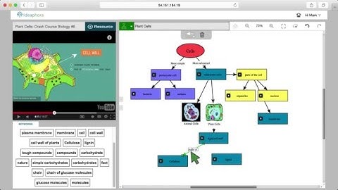 Introduction to the Ideaphora Knowledge Mapping Environment