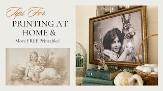 How to Enlarge A Print At Home What Kind of Printer Paper I Use Plus More Spring FREEBIES
