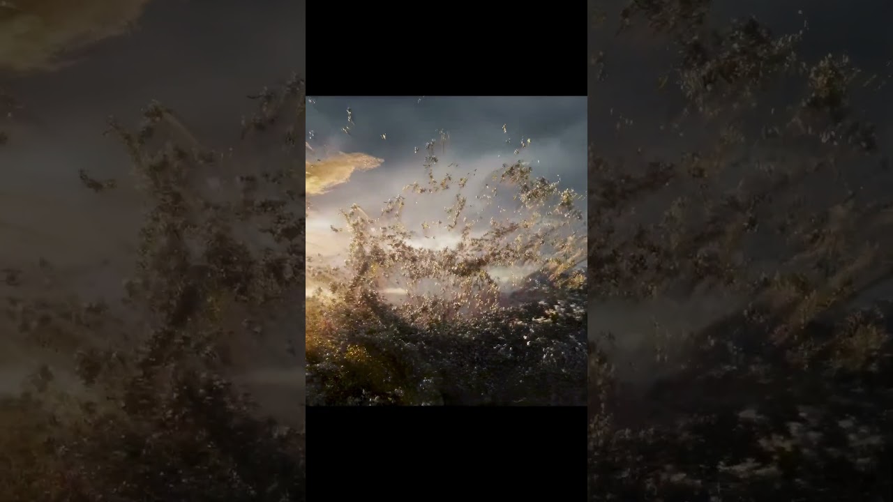 Final army battle ⚔ | Ne Zha 2 edit