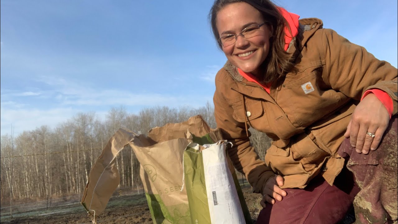 Frost seeding pastures