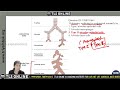 | CSIR PYQ : 2019 | Part - B | VIDEO SOLUTION | Month : December |