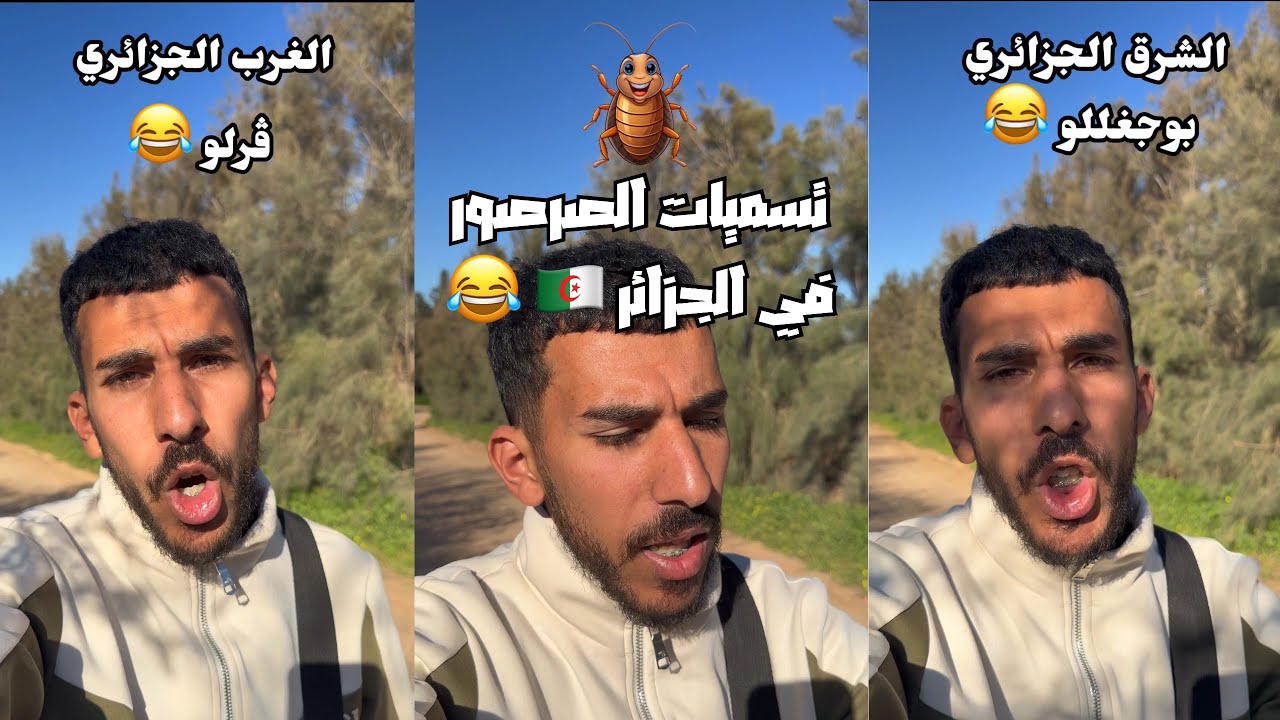 تسميات الصرصور في الجزائر 🇩🇿 تموت بالضحك 😂❤️‍🩹