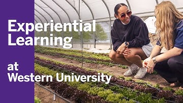 Experiential Learning at Western University