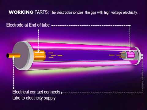 How Neon Lights Work