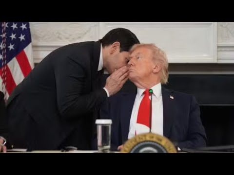 ÉMISSION SPÉCIALE Gaza La Paix Selon Trump