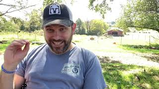 U.S. depression 2.0, insider port closure info and U.S. GOV seizure of private N.C. Land post storm