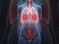 How a Baby Survives Without Breathing Air | Placenta &amp; Oxygen #humanbiology #anatomy