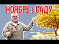 Садовые работы в ноябре / Игорь Билевич