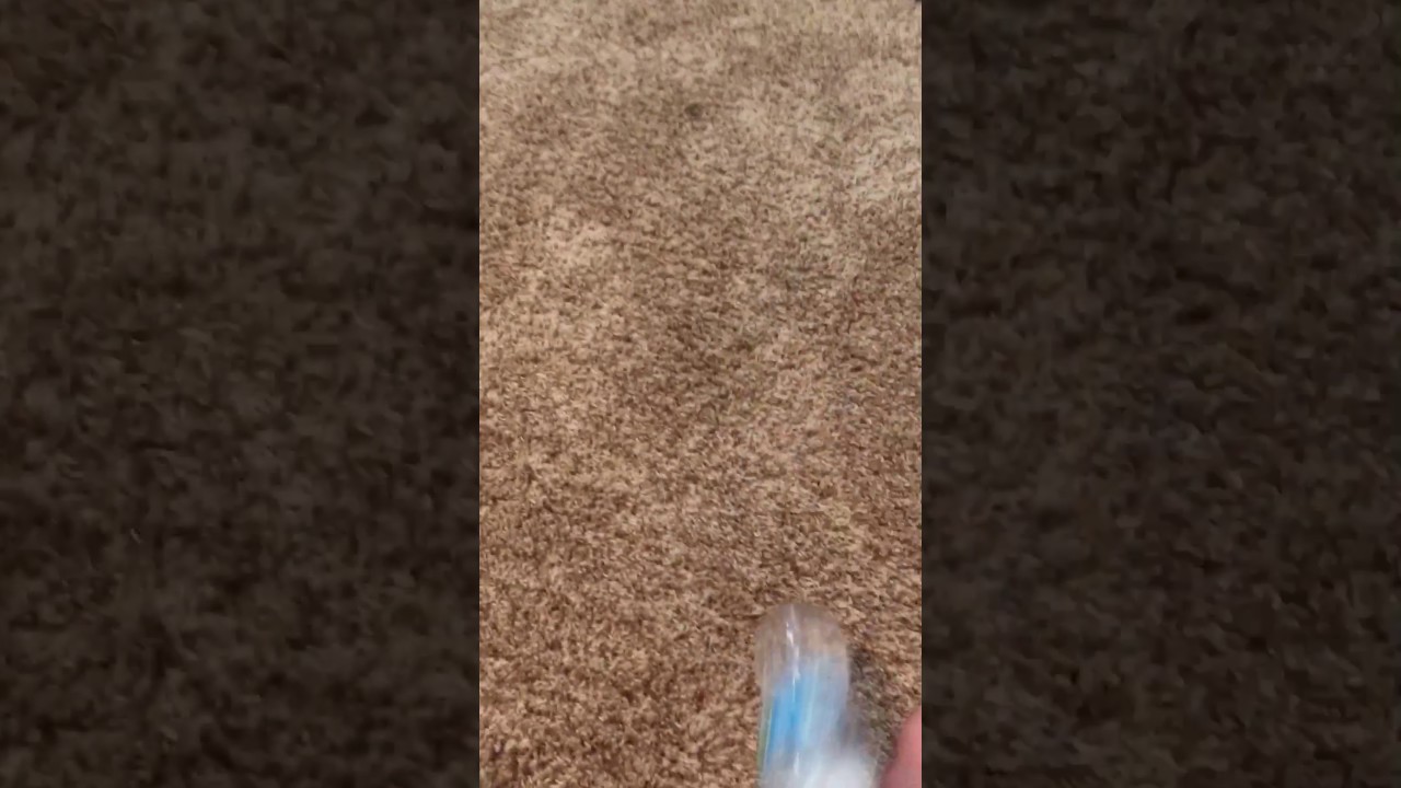 Water bottle flip fails