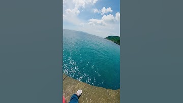 Đụng phải hàng khủng. Nghe tiếng rít cước mà tê tái #cauca #câucábiển