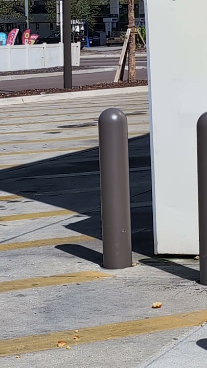 customer #witwisnitzilla #tampa #wawa #banananutmuffins