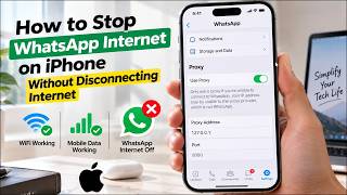 How to Turn Off WhatsApp Internet without Turning Off Wi-Fi or Mobile Data on iPhone screenshot 2