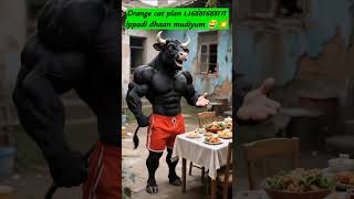 Orange Cat &amp; Tiger Funny Friendship 😂🐯