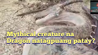 Mythical creature na dragon natagpuang patay screenshot 4