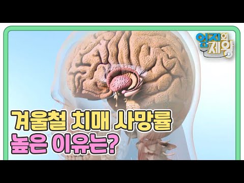 공포의 뇌 질환 치매! ※겨울철※ 치매 사망률 높은 이유는? MBN 230103 방송