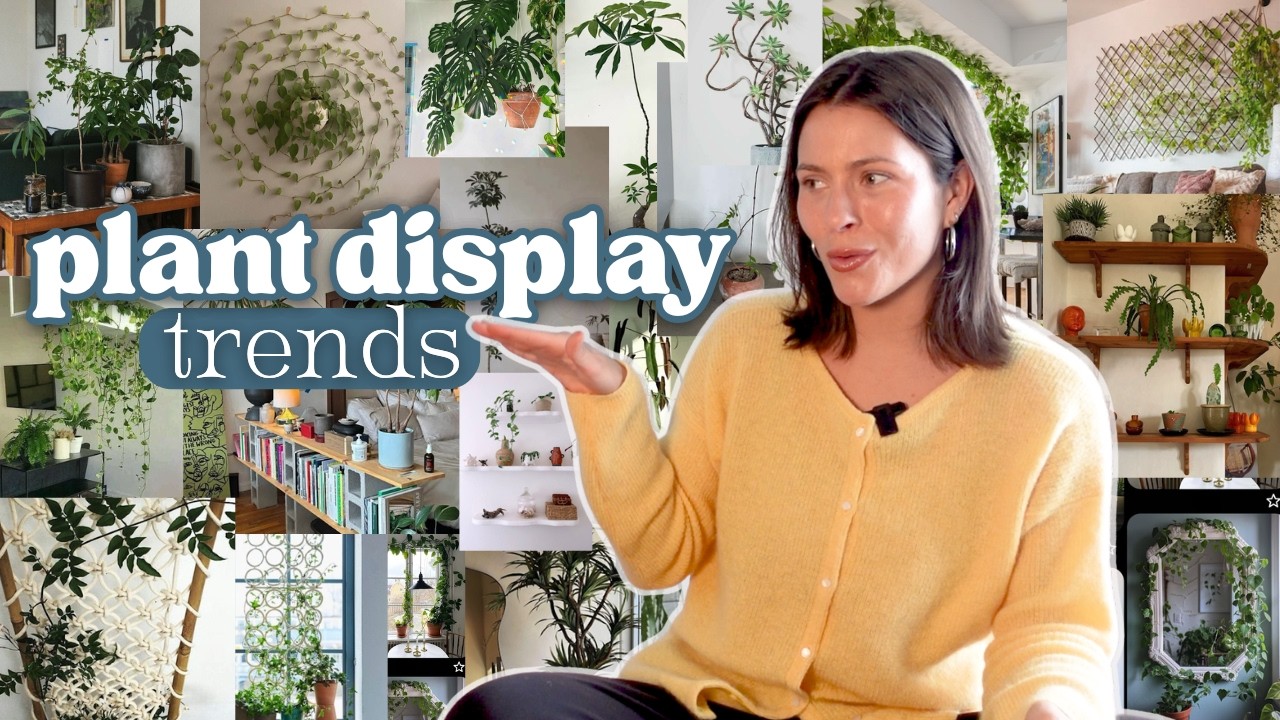 10 plant display trends i'm obsessed with