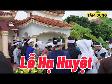 Video Lễ Hạ Huyệt Cụ: Lê Thị Phiên (Hưởng thọ 95 tuổi)... - youtube