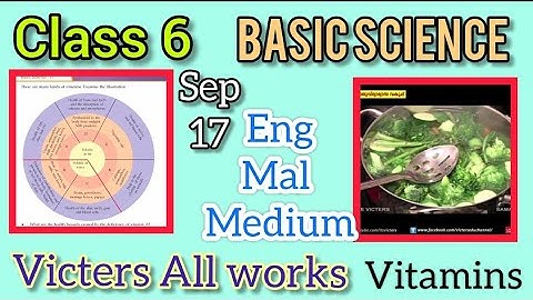 Class 6 victers Basic science works | Class 6 science worksheet | STD 6 | Victers worksheet | Sep 17