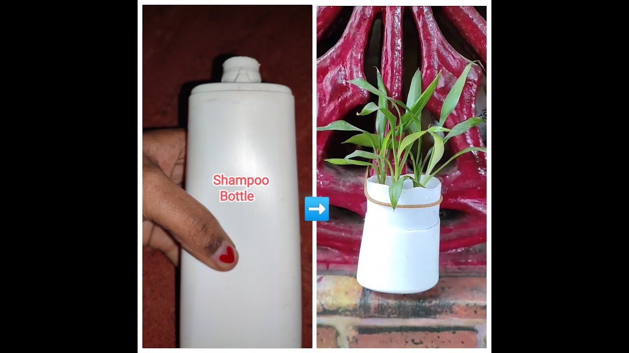 Decor🪴Bamboo🎍shampoo Bottle Planter Idea using waste Plastic Bottle YouTube