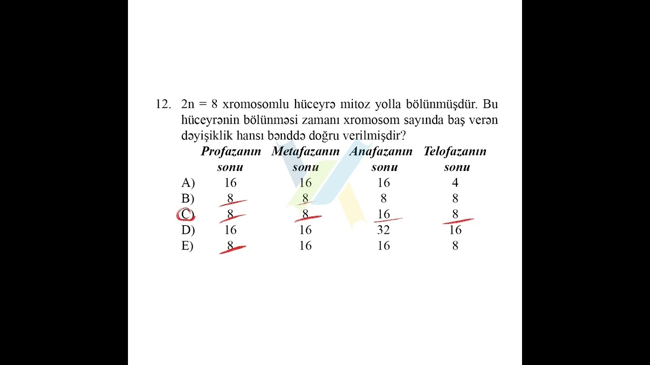 Biologiya Güvən sınaq 3 qrup fənləri