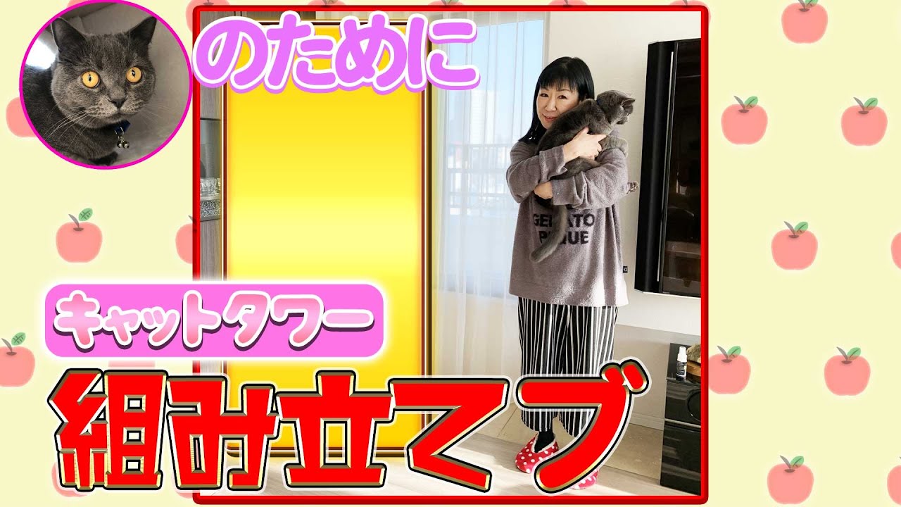 #081【リンゴ初挑戦！】1人でキャットタワーを立ててみた！！