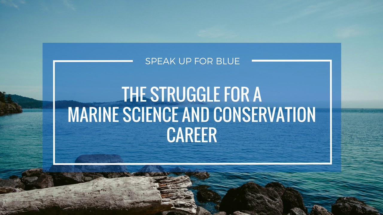 The Struggle To Building A Career In Marine Science And Conservation