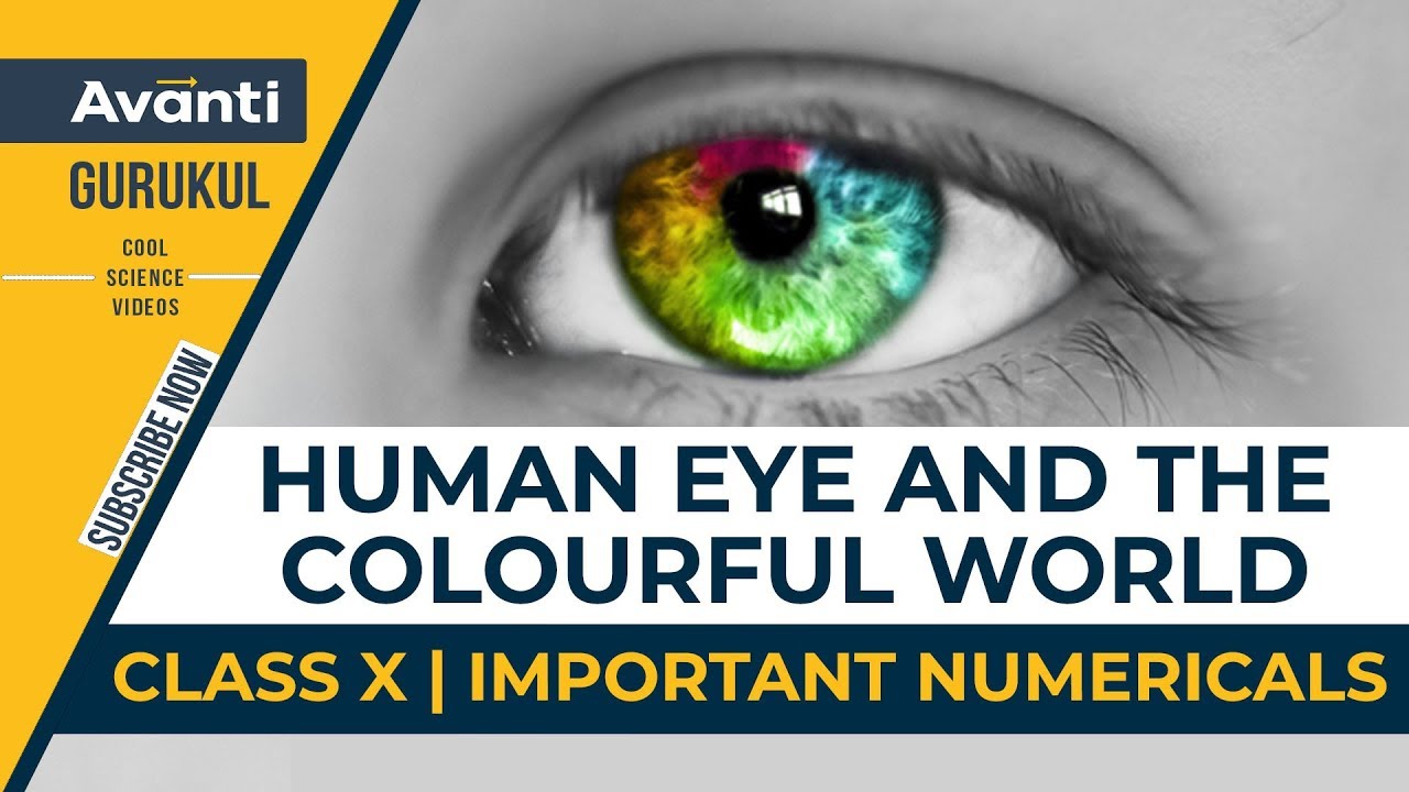 case study questions on human eye and colourful world